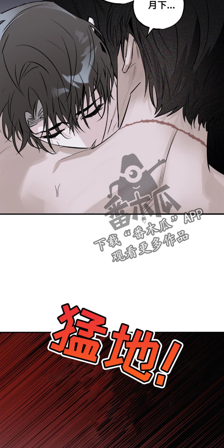 第29章：遭受痛苦4