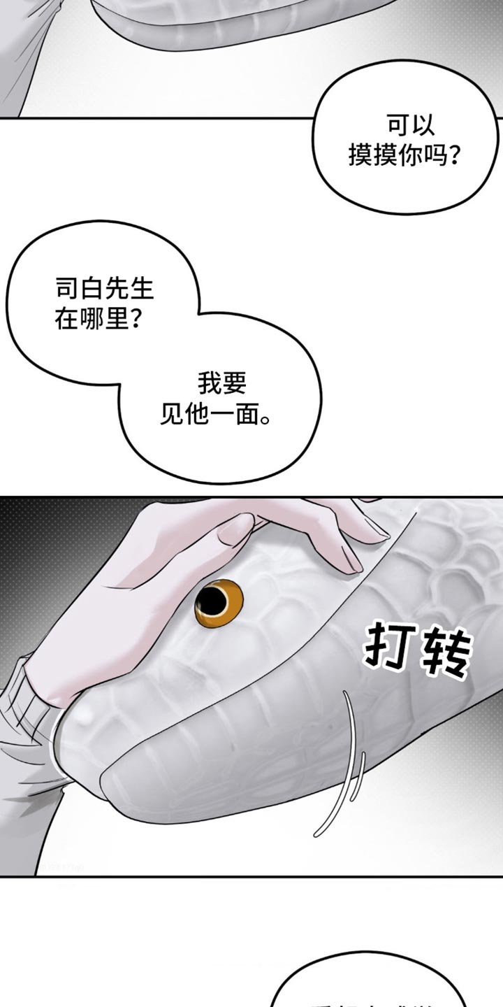 月光蟒影漫画,第34章：辞职3图