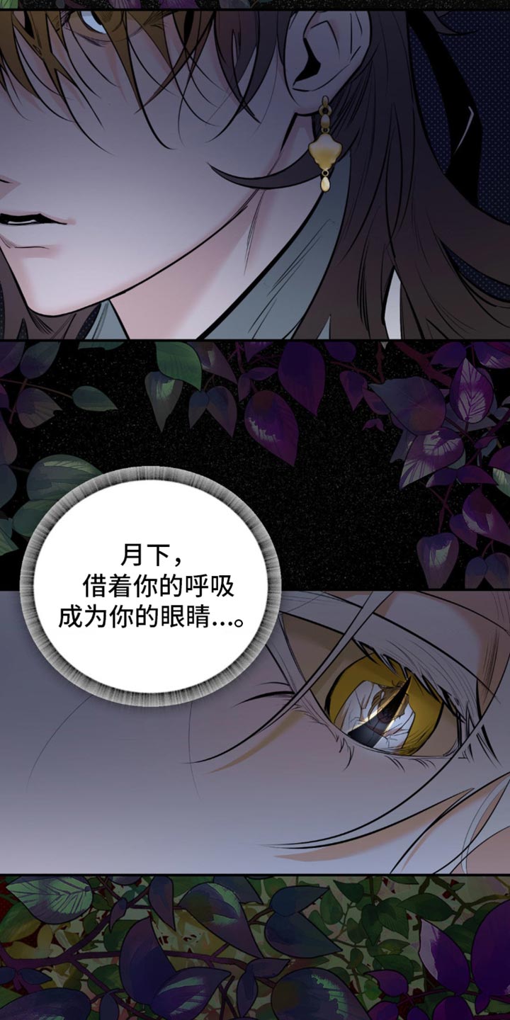 月光蟒影完结版漫画解说漫画,第35章：无论如何4图