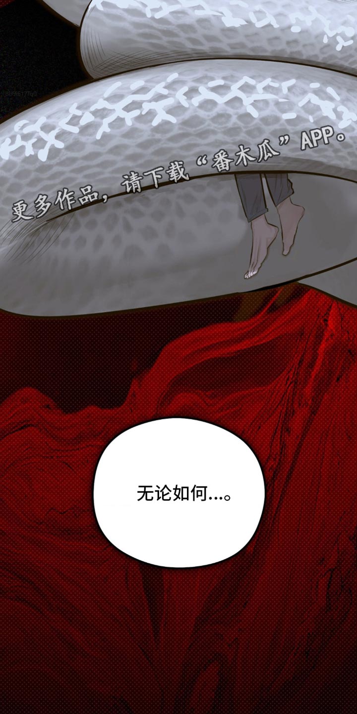 月光蟒影完结版漫画解说漫画,第35章：无论如何2图