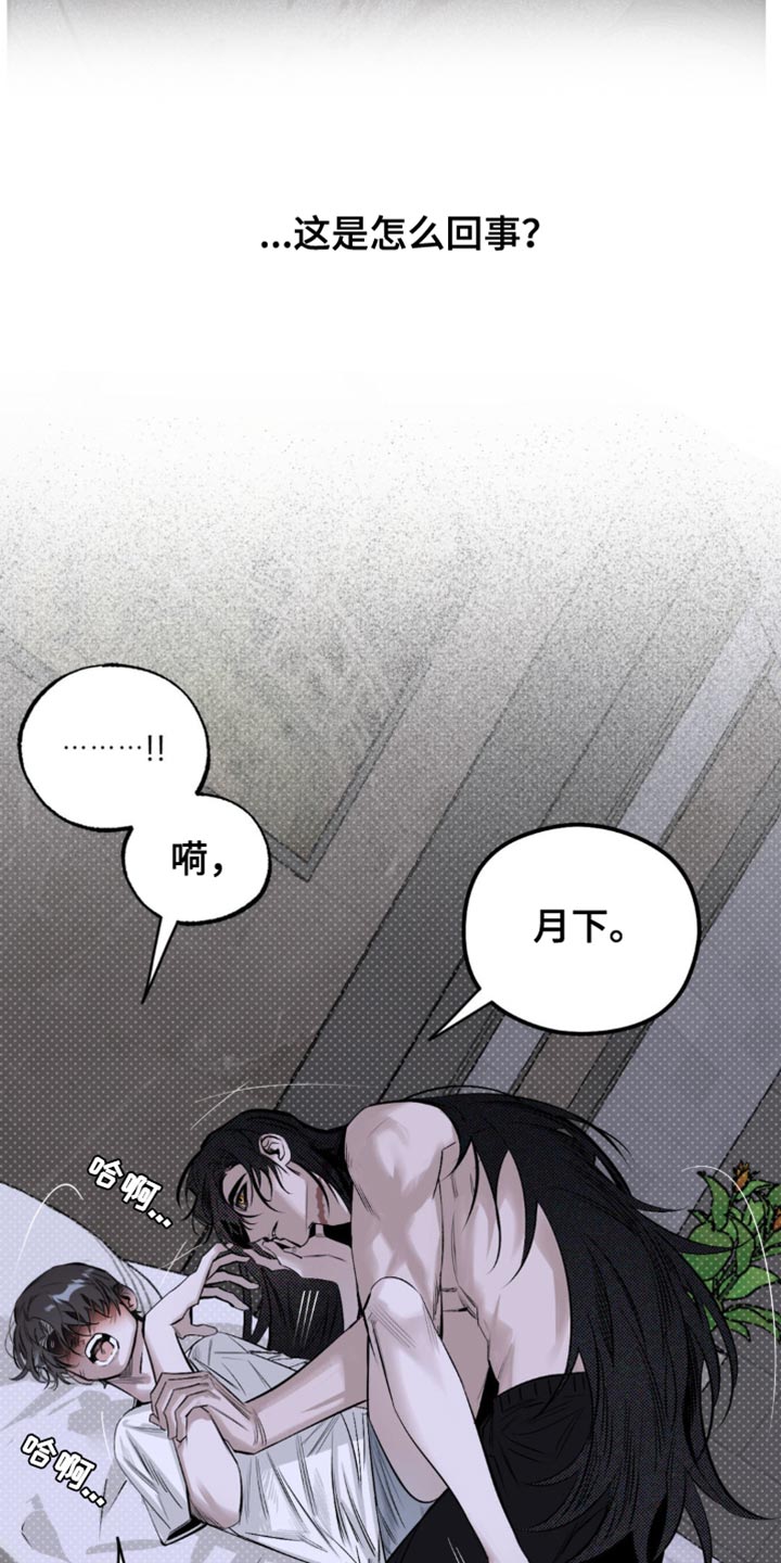 月光蟒影漫画,第19章：它们憎恨我3图