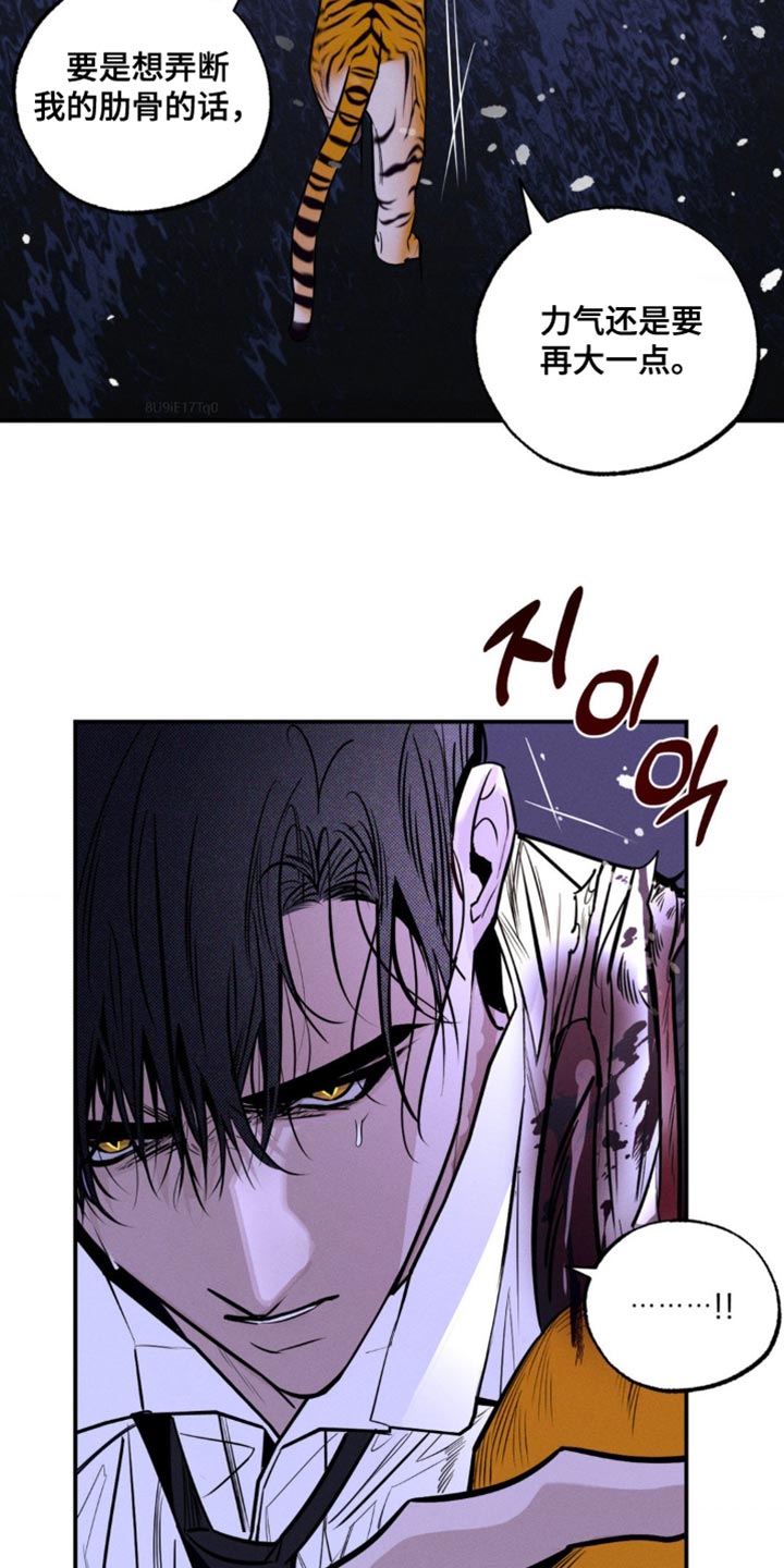 第53章：分解吧1