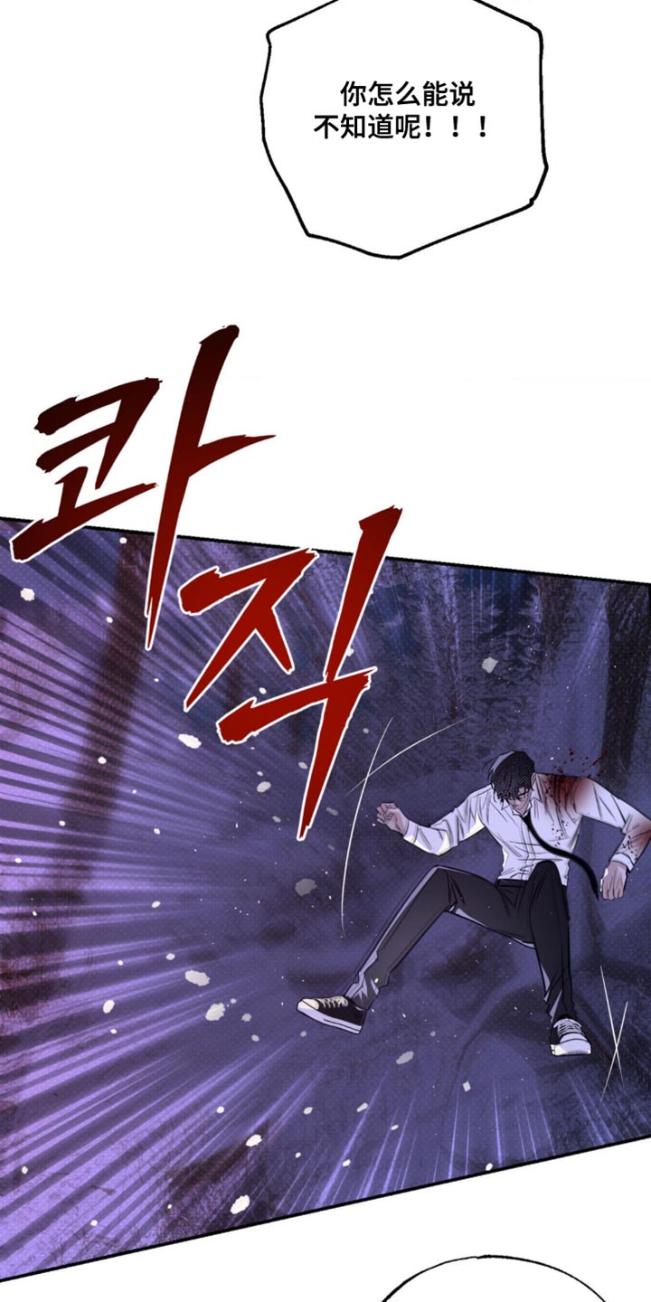 月光蟒影完结版漫画解说漫画,第52章：我已经驯服好了5图