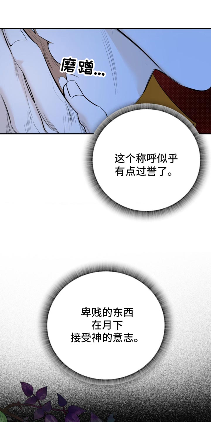 月光蟒影完结版漫画解说漫画,第35章：无论如何3图