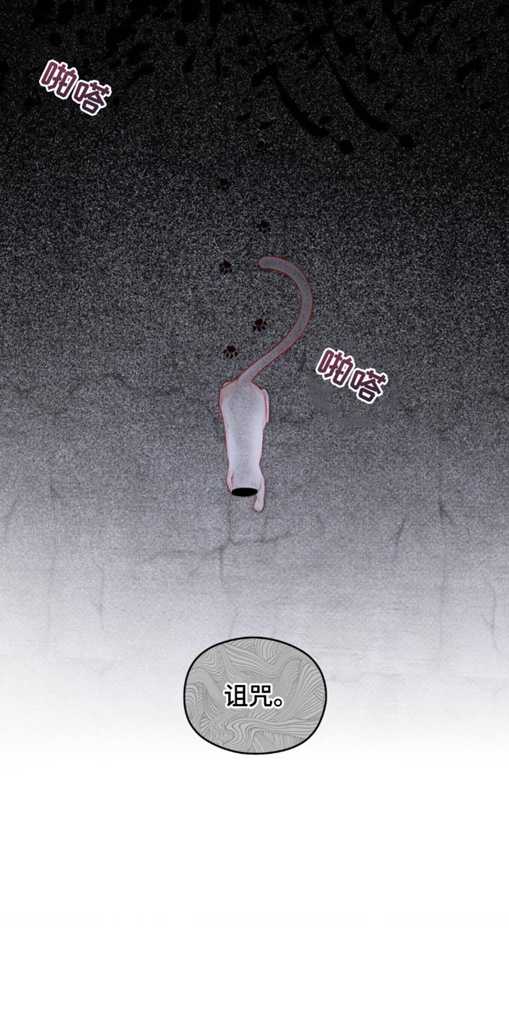 月光蟒影韩漫还是国漫漫画,第20章：所以我才害怕3图