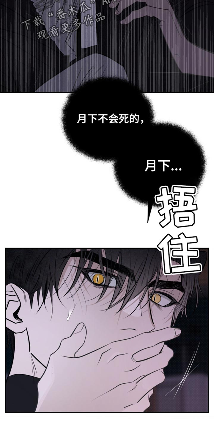 月光蟒影漫画,第37章：我要见他2图