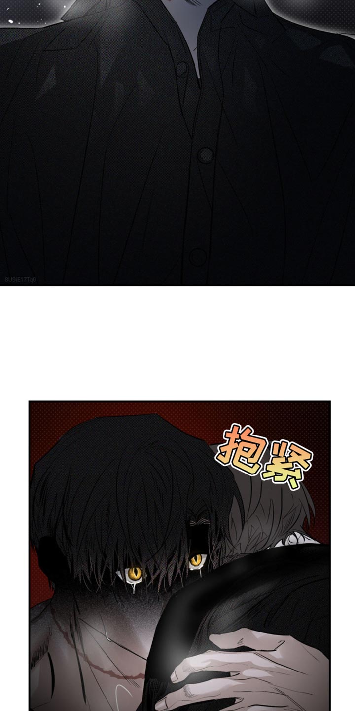 第29章：遭受痛苦1