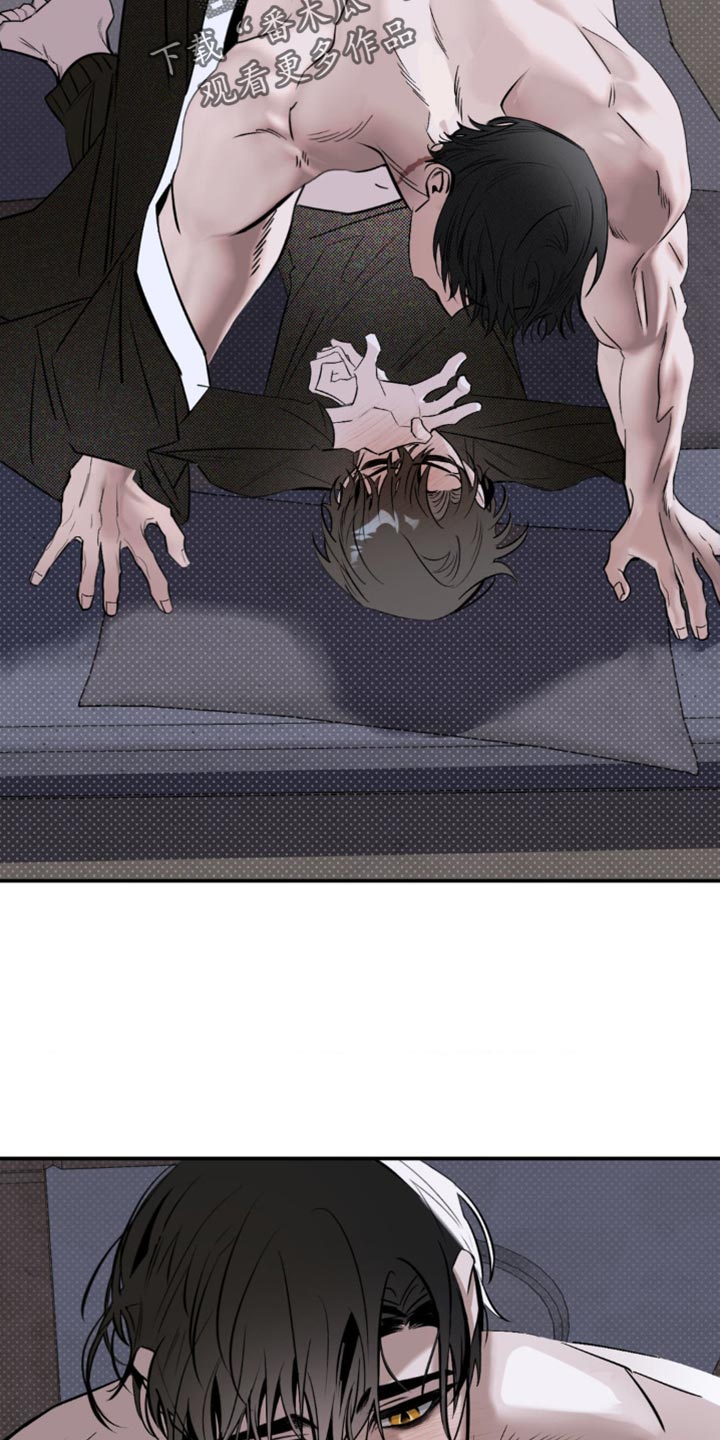 第28章：不一样的感觉4