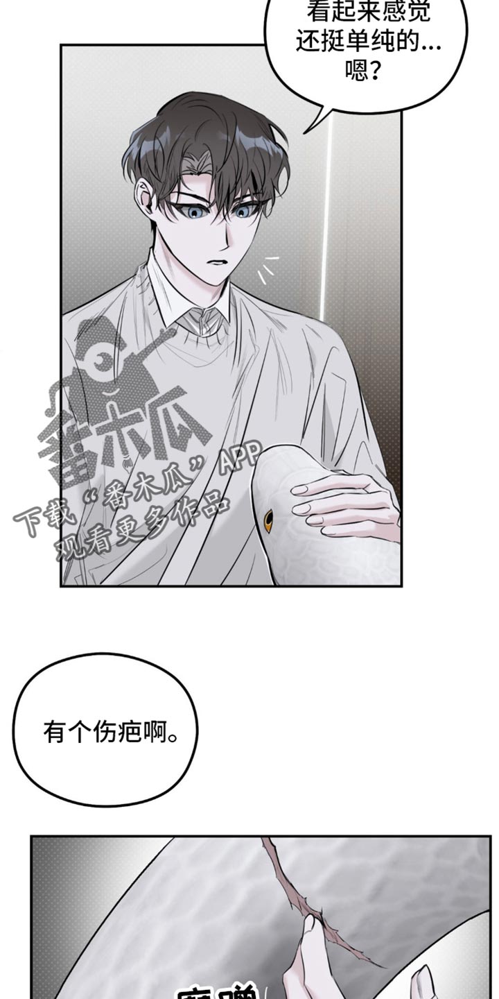 月光蟒影漫画,第34章：辞职4图