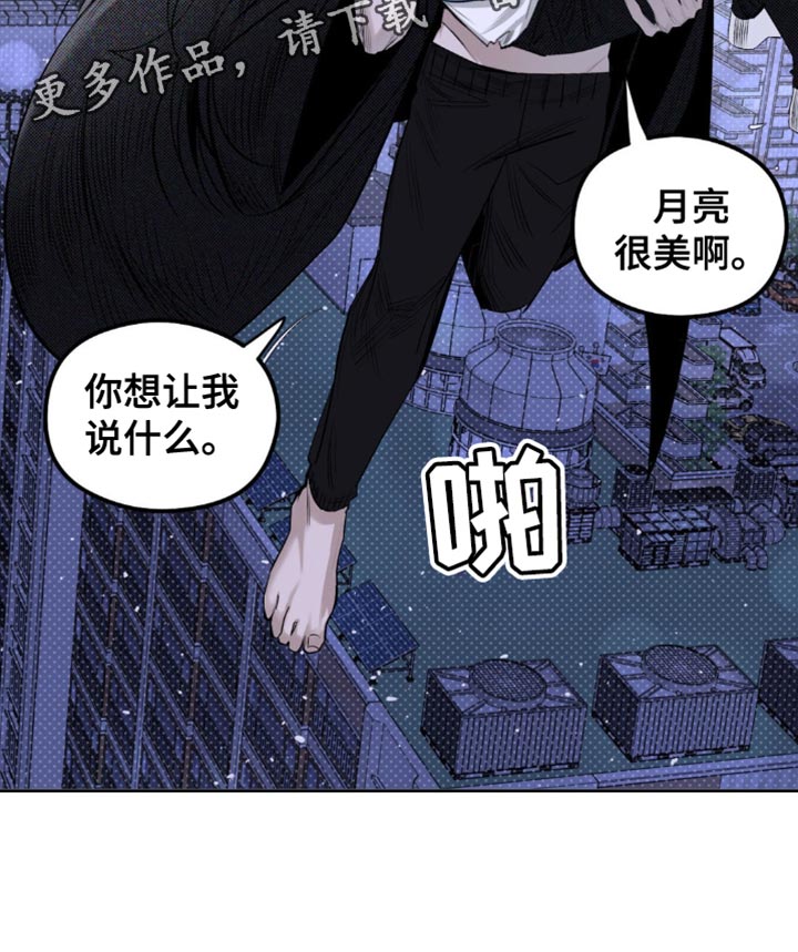 第19章：它们憎恨我2