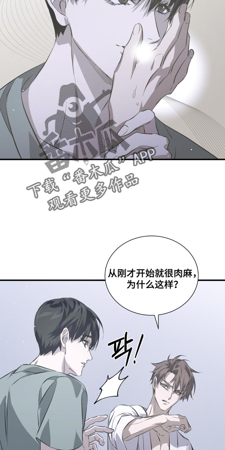 绝命扣押漫画,第56章：太好看了1图