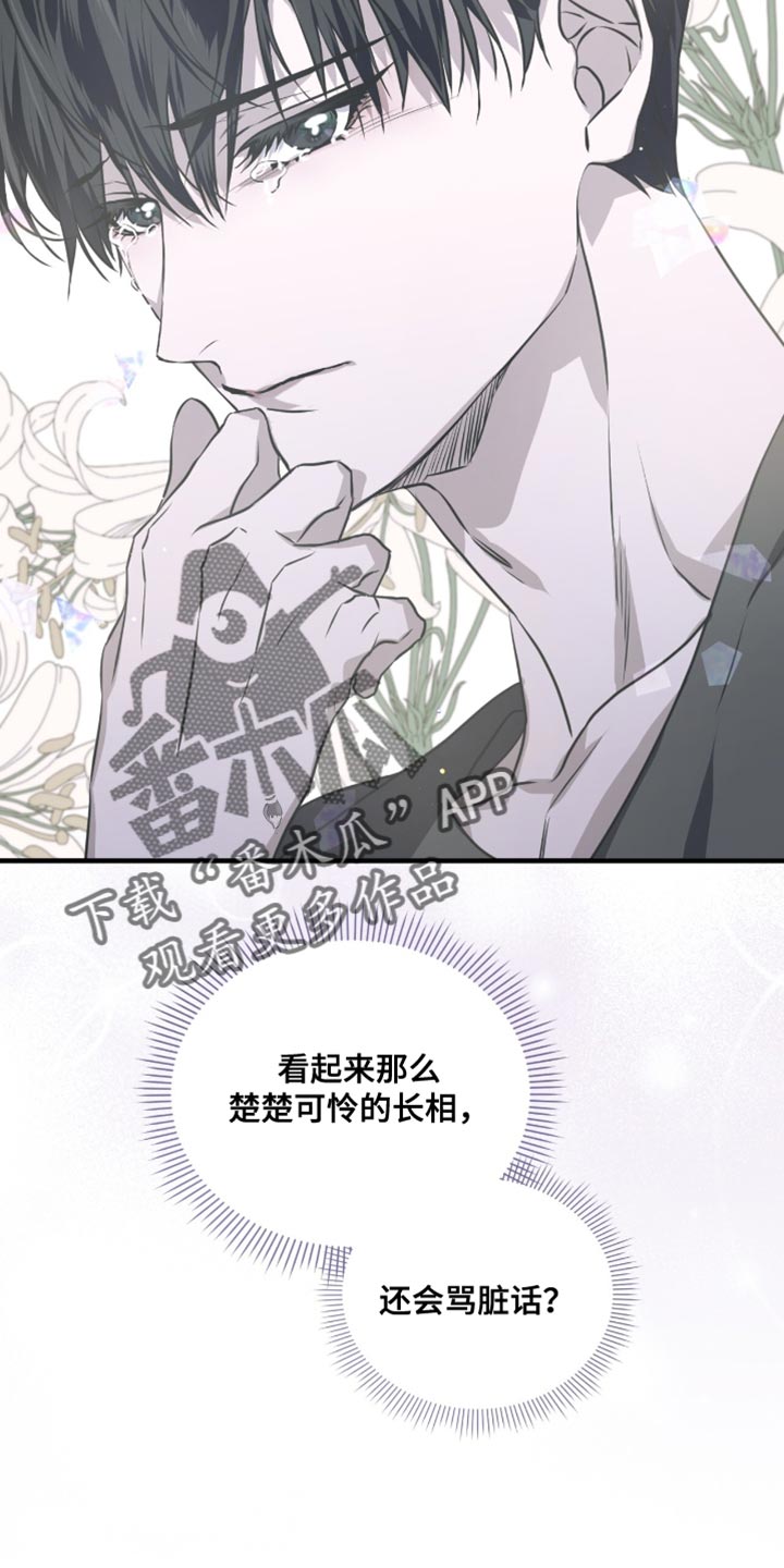 绝命扣押漫画,第33章：回去吧3图