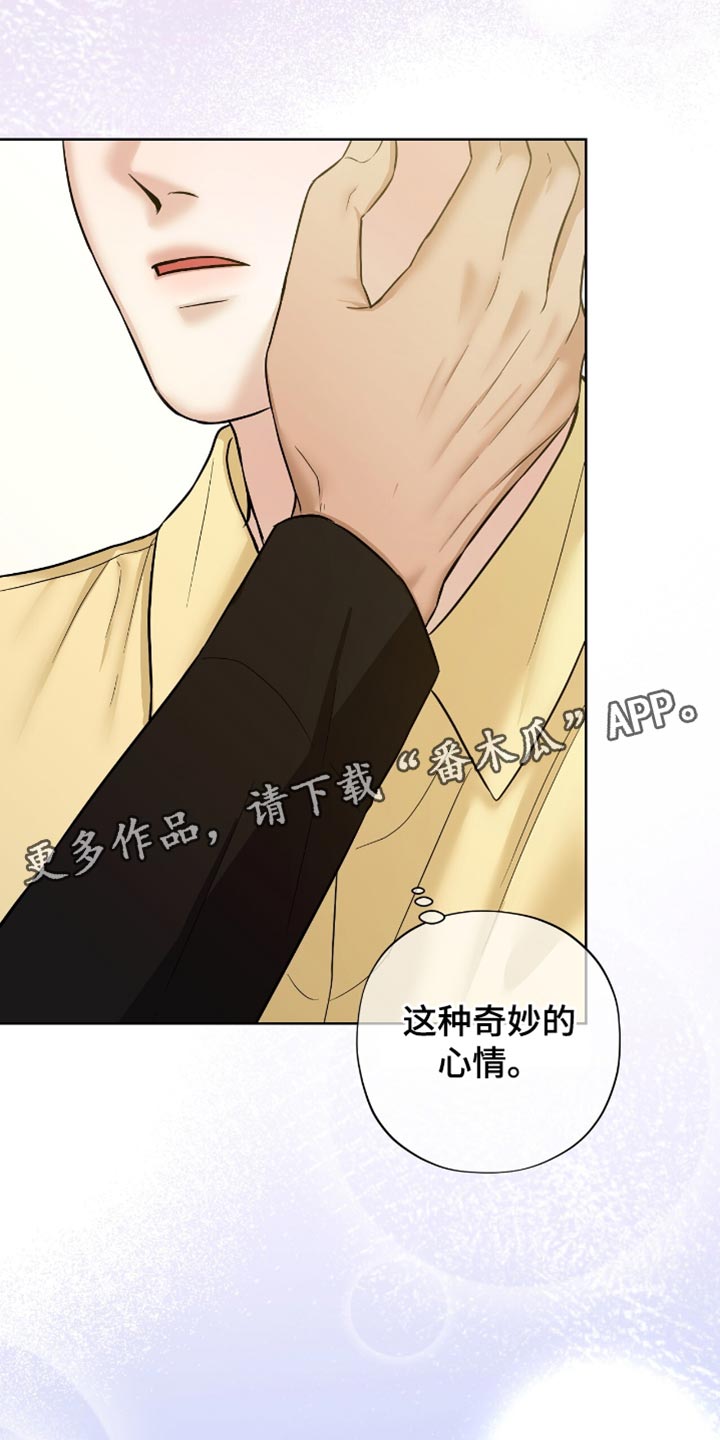 第63章：奇妙的心情3