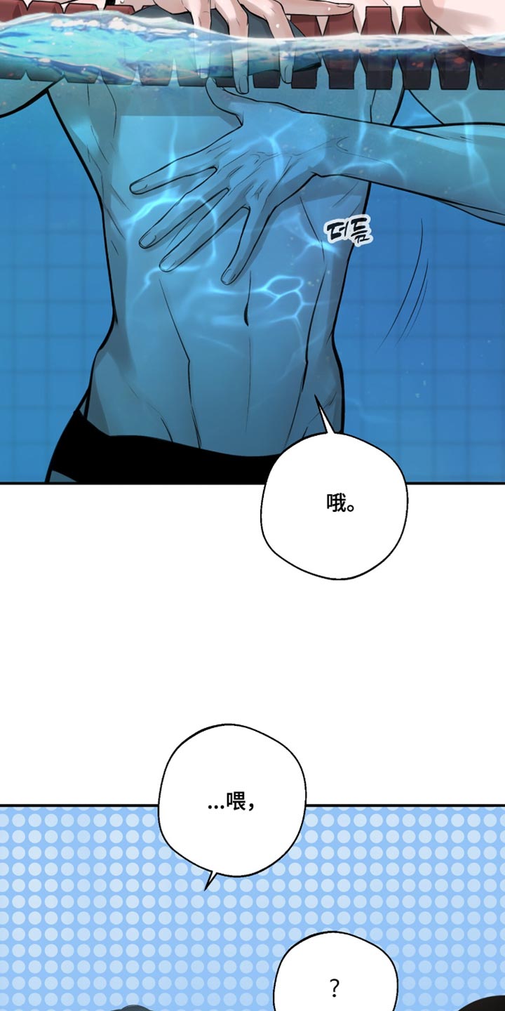 冲刺吧泳池冠军漫画,第43章：一直都想告诉你3图