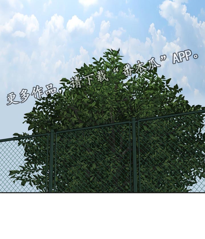 冲刺吧泳池冠军漫画,第54章：亲口说的吗？3图