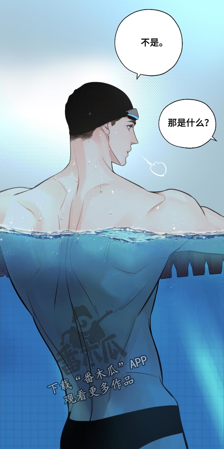 冲刺吧泳池冠军漫画,第44章：戒烟吧5图