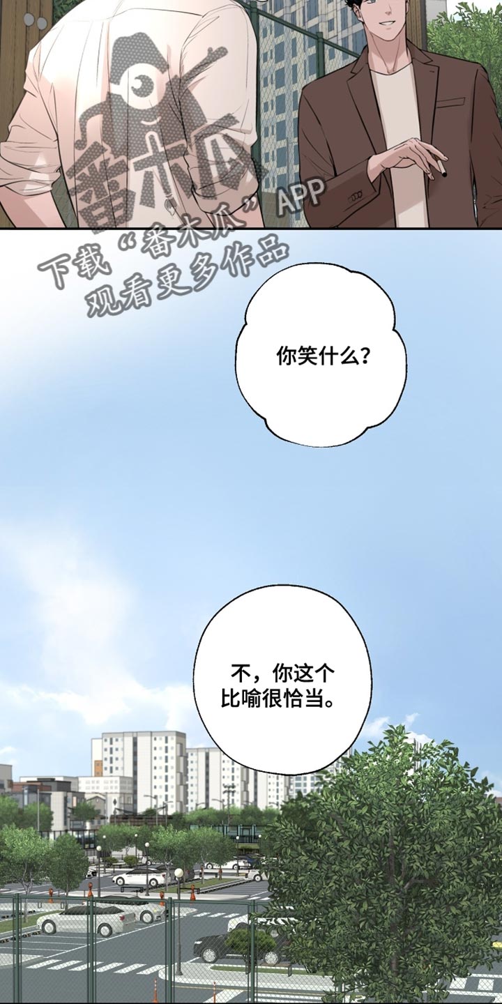 冲刺吧泳池冠军漫画,第56章：我真的很认真在问你1图