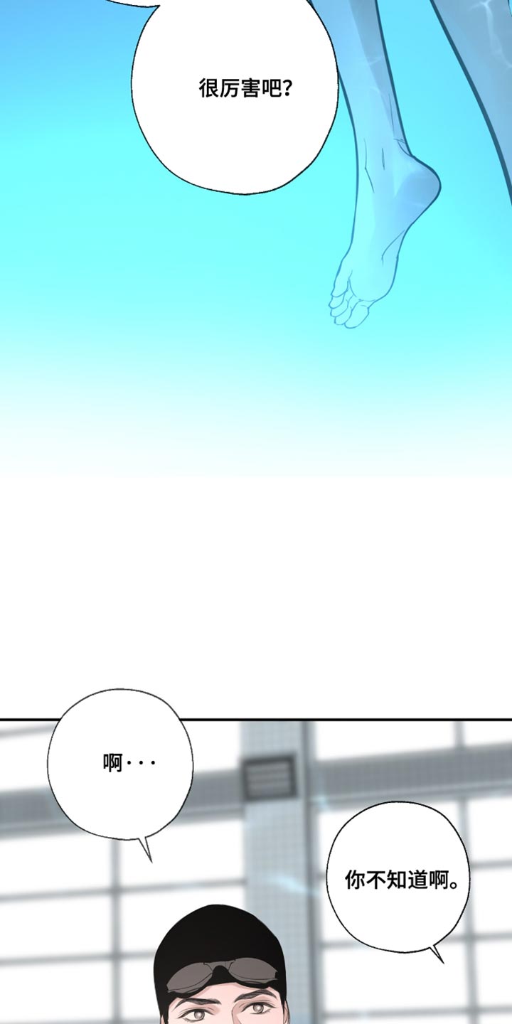 冲刺吧泳池冠军漫画,第43章：一直都想告诉你5图