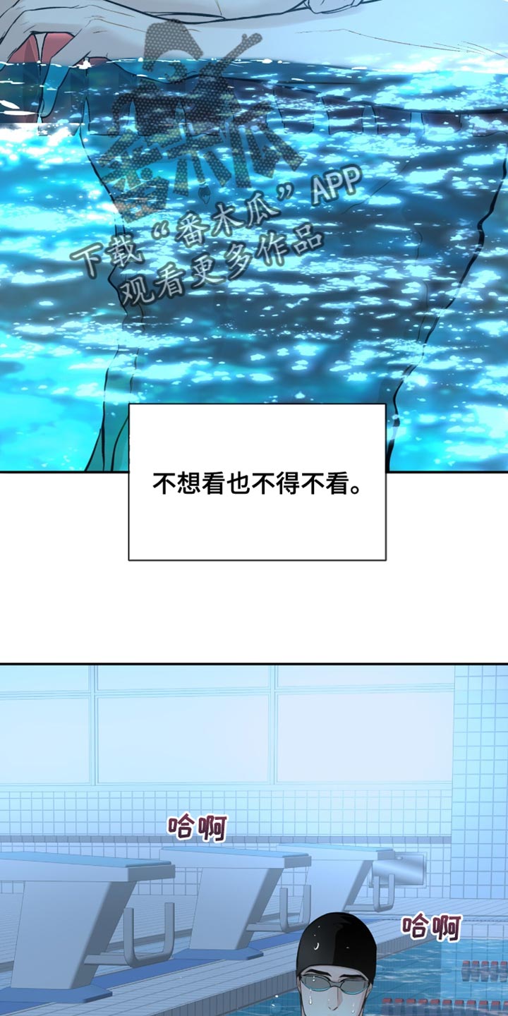 冲刺吧泳池冠军漫画,第40章：一起游泳2图