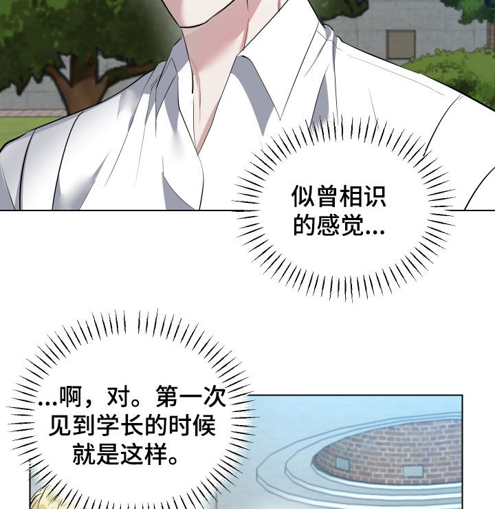 红蛇梦魇漫画,第31章：风云人物3图