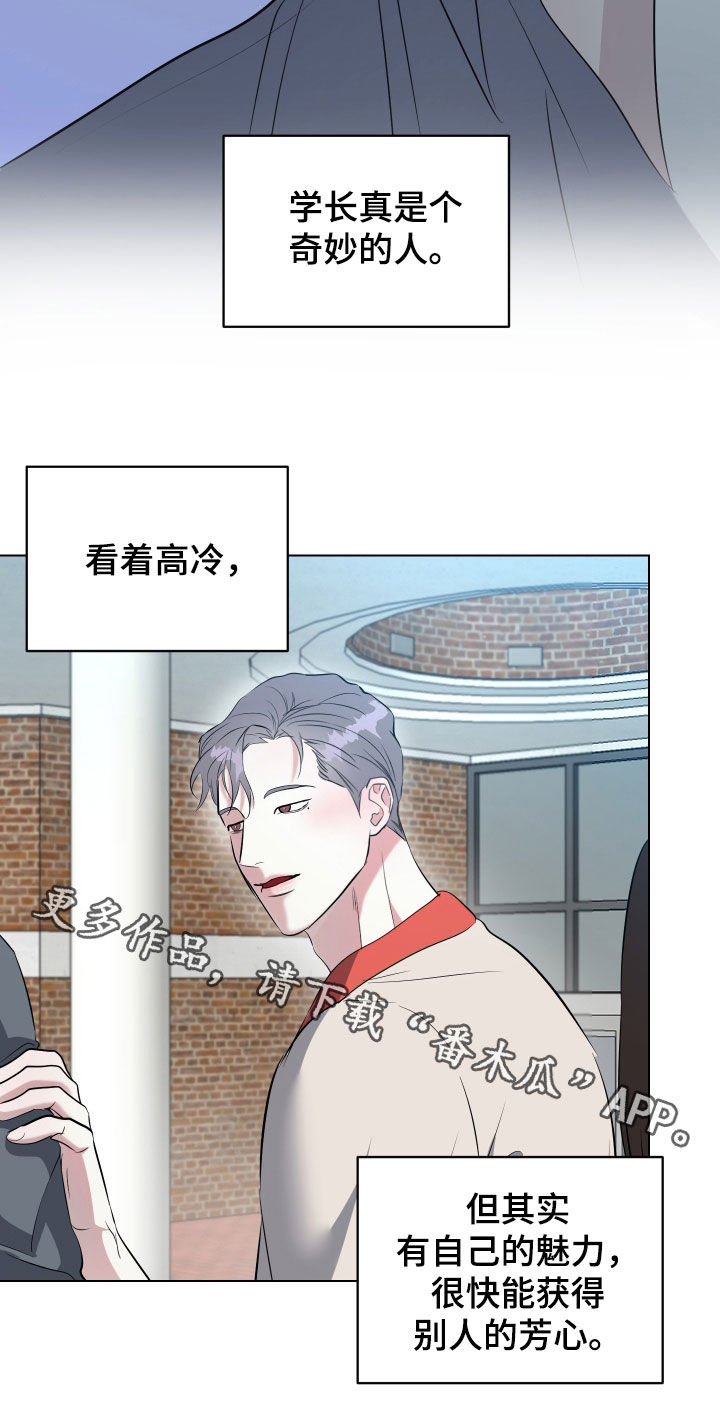 红蛇梦魇漫画,第31章：风云人物1图