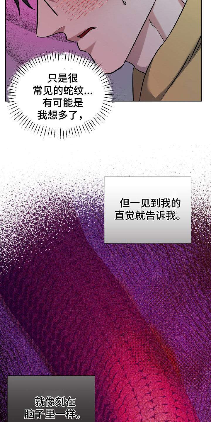 红蛇梦魇漫画,第47章：怀疑3图