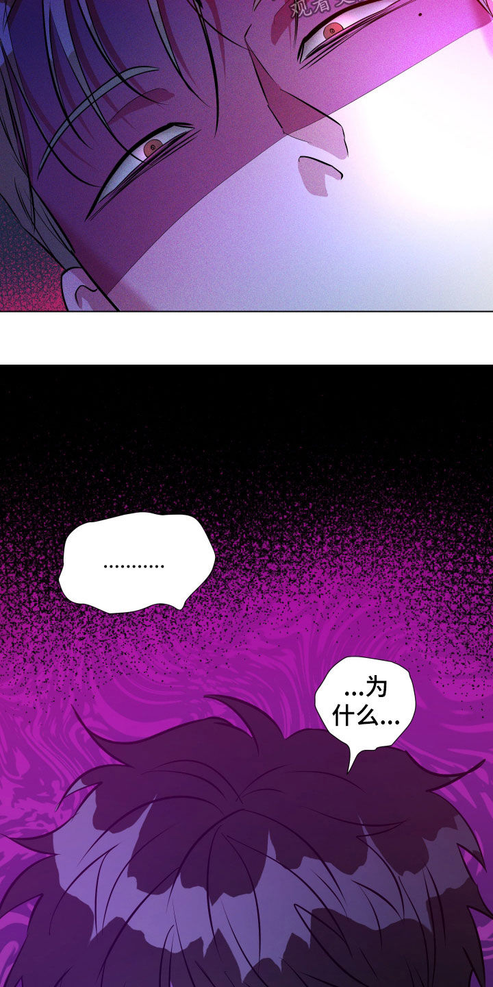 红蛇梦魇漫画,第49章：为什么要这么做2图