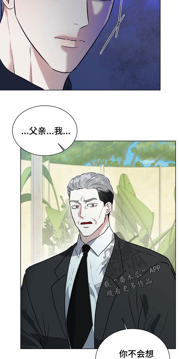 红蛇梦魇漫画,第36章：我们谈谈1图