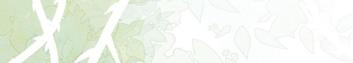 士官滞留部队有惩罚规定吗漫画,第46章：打招呼4图