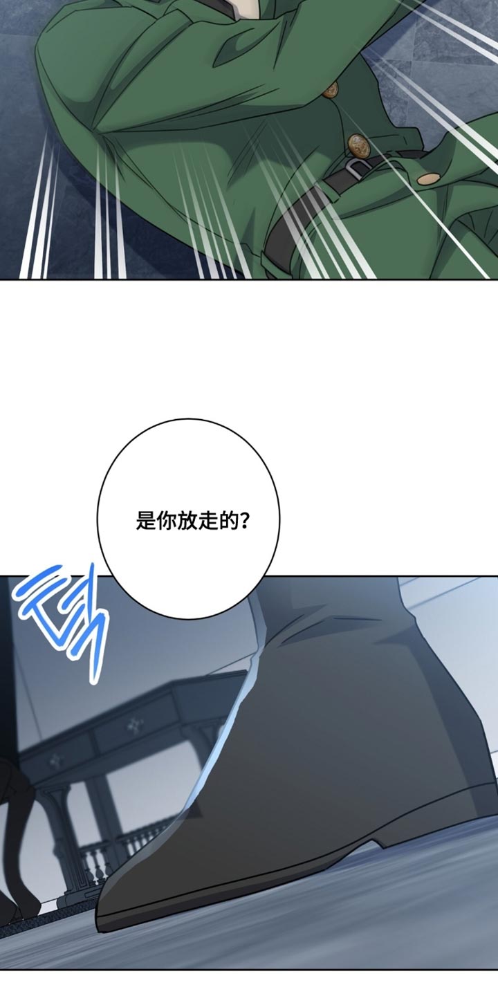 士官的退伍费是多少漫画,第89章：悄无声息5图
