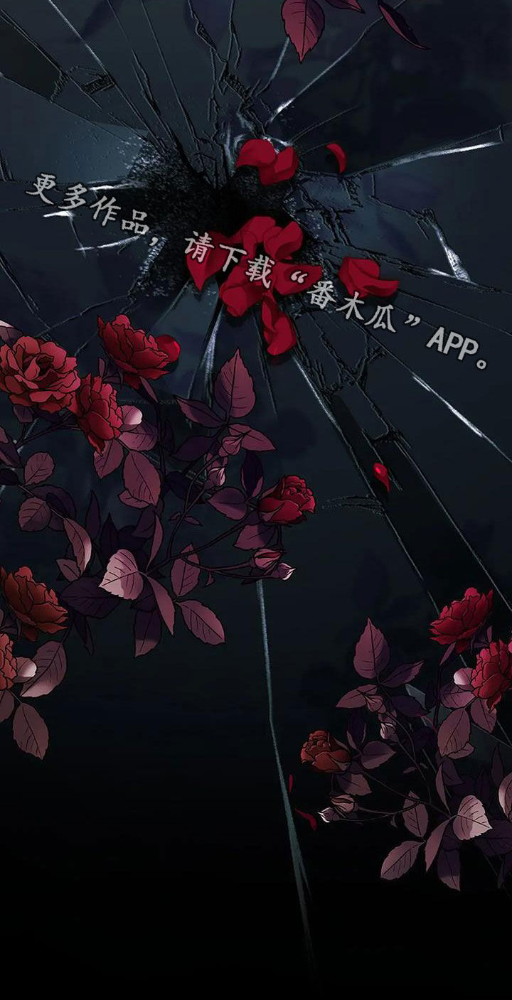 灿烂的阳光能照进黑暗漫画,第43章：只有我看到了4图