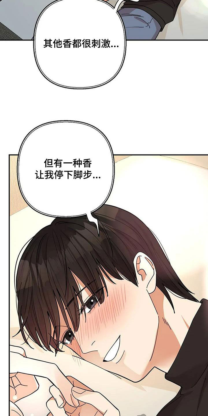 灿烂的七十年代漫画,第49章：香味5图