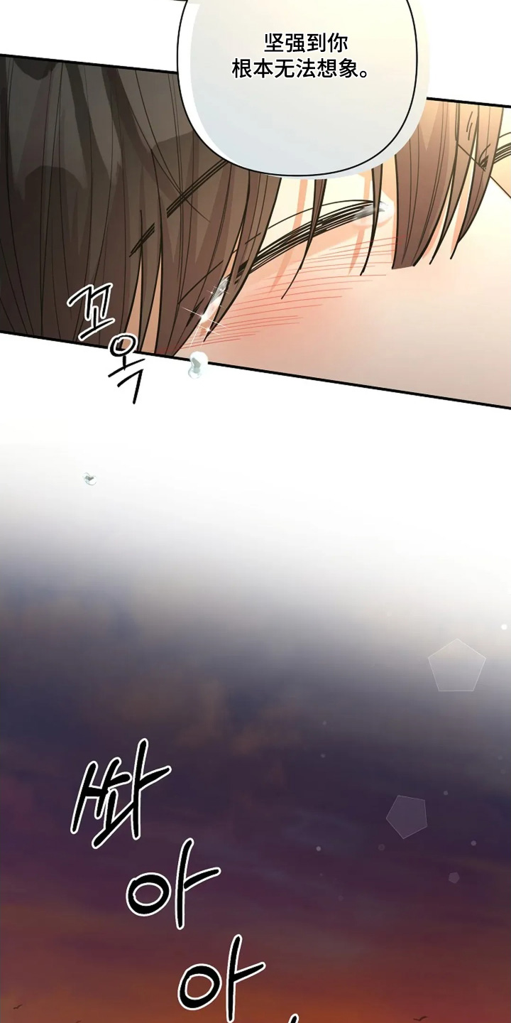 灿烂的近义词是什么漫画,第77章：有多坚强（第一季完结）4图