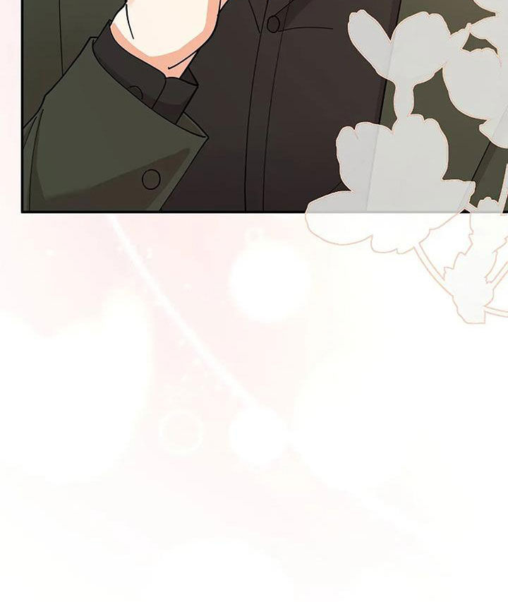 灿烂的花园在线免费版在线看免费版完整漫画,第41章：男主角2图