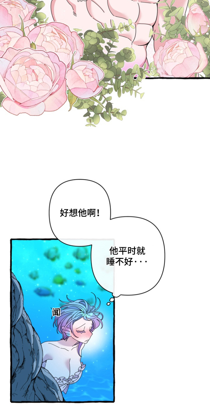 美人鱼的憧憬无删减漫画,第13章：我们回家吧3图