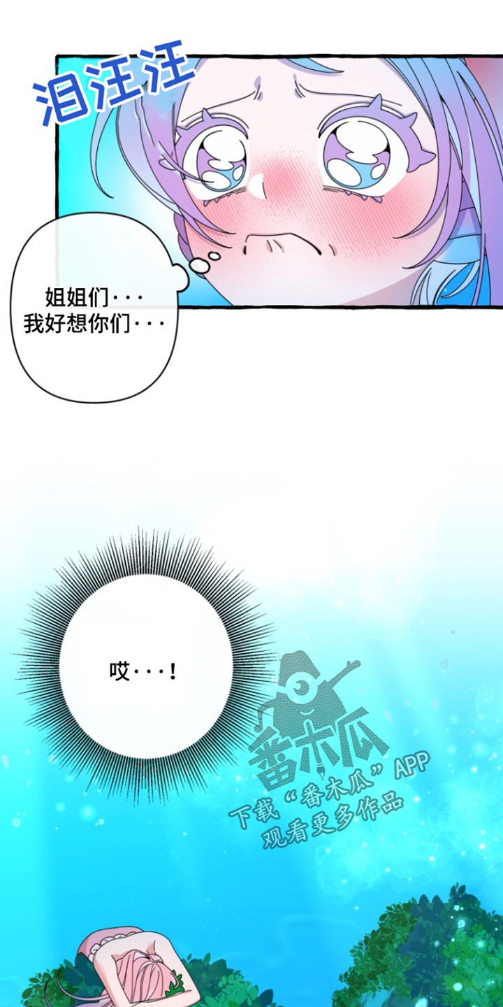 美人鱼的憧憬无删减漫画,第13章：我们回家吧5图