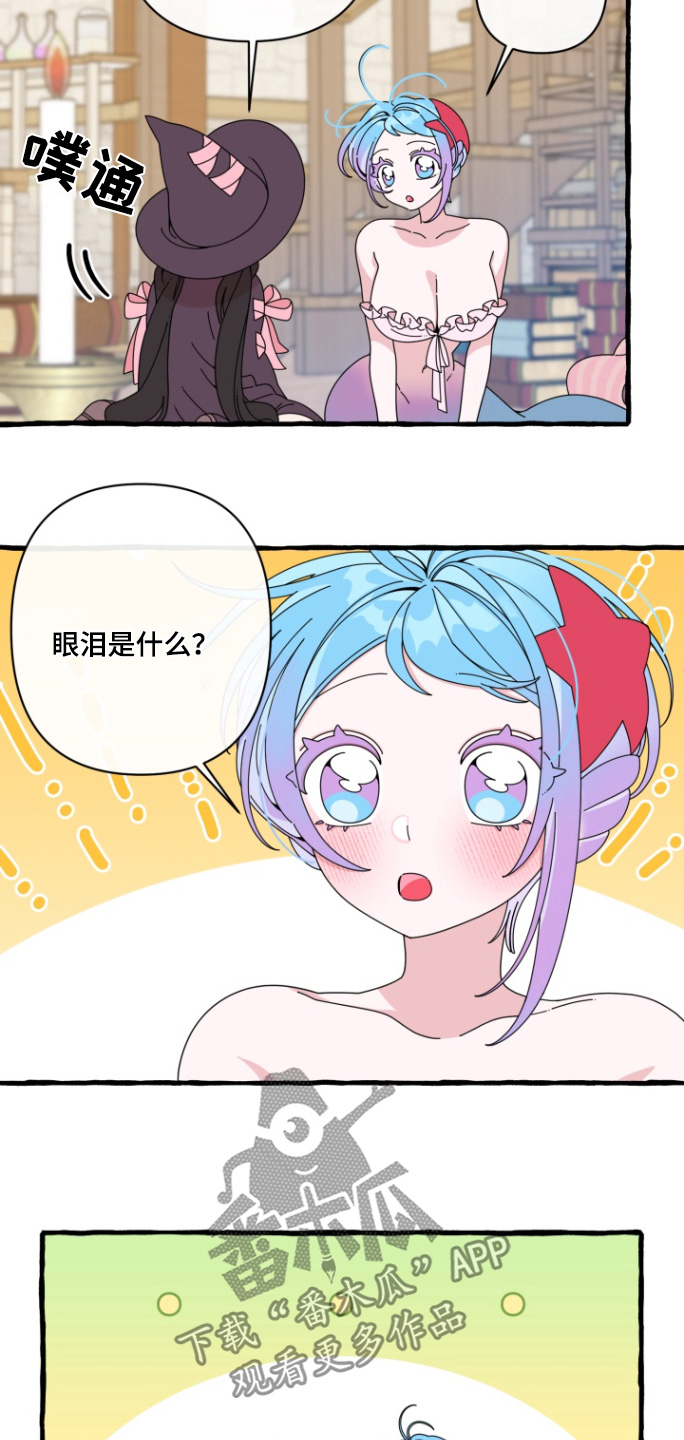 美人鱼的夏天动画电影免费观看完整版星辰影院漫画,第12章：没有流眼泪5图