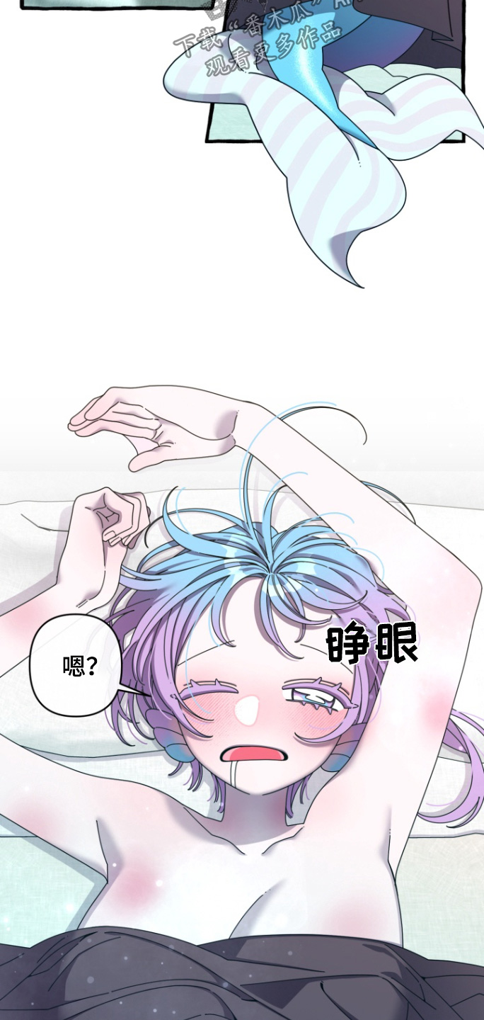 美人鱼的画法漫画,第21章：吵架2图