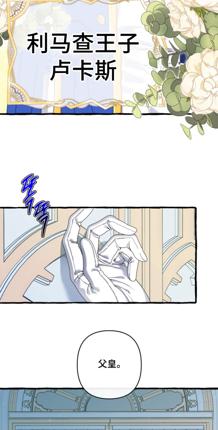 美人鱼的憧憬漫画,第41章：有王子嘛4图