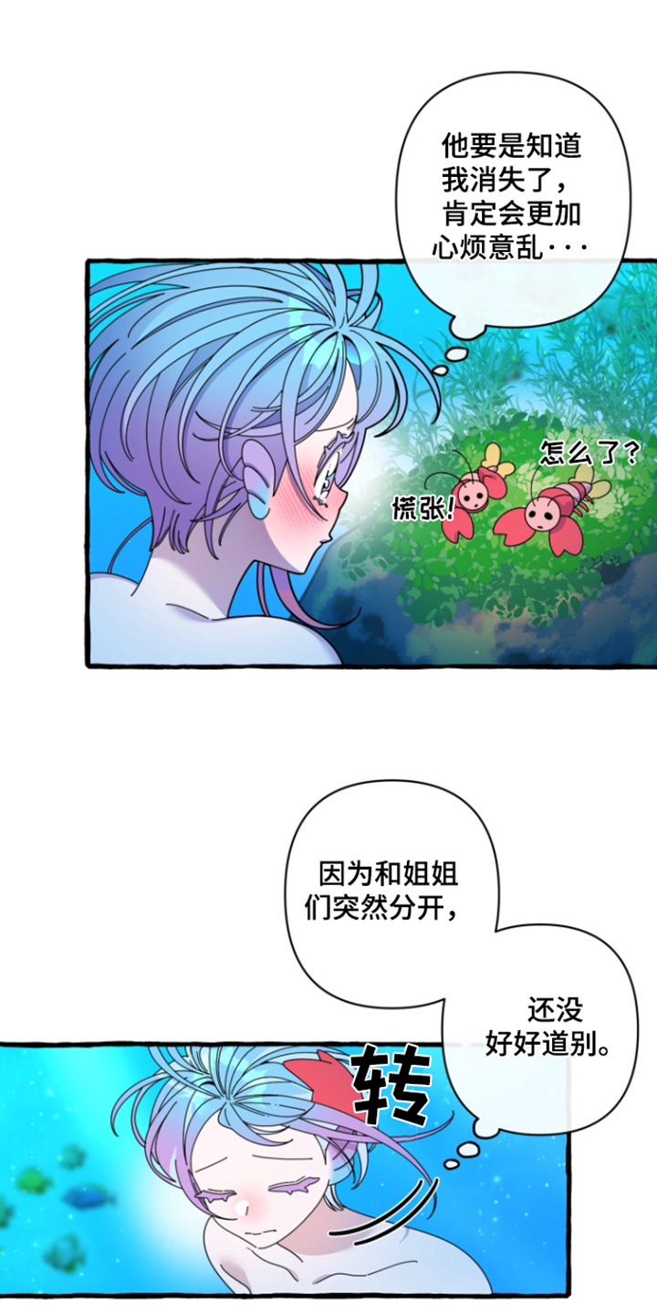 美人鱼的憧憬无删减漫画,第13章：我们回家吧4图