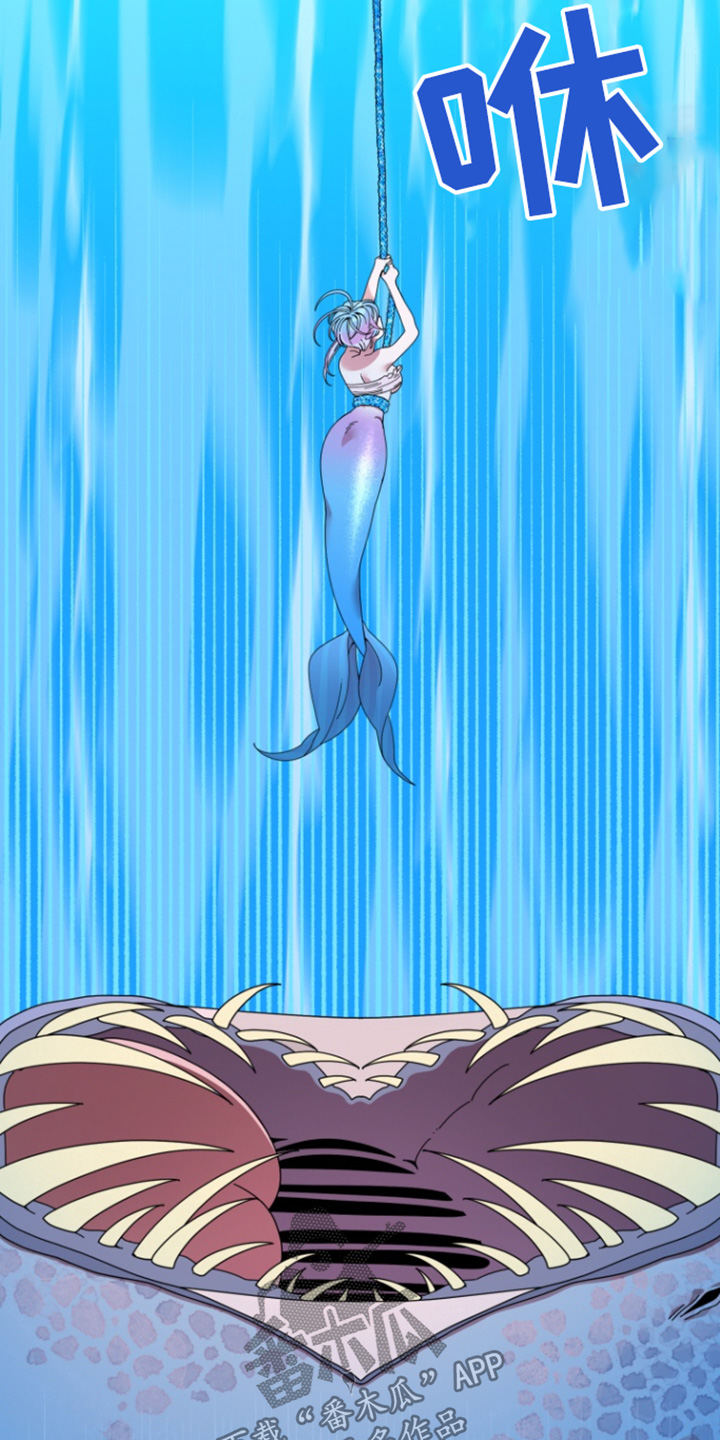 美人鱼的夏天动画电影免费观看完整版星辰影院漫画,第14章：大鱼1图