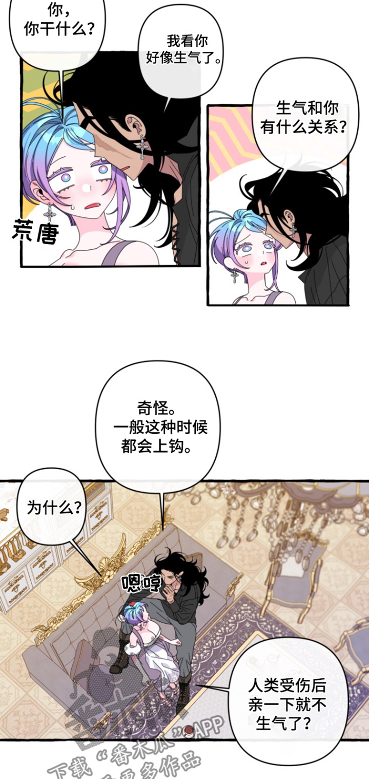 美人鱼的夏天动画电影免费观看完整版星辰影院漫画,第27章：这是什么4图