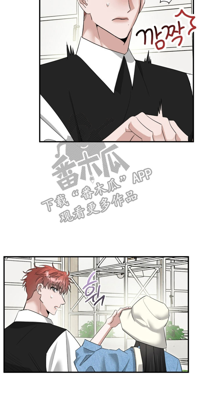 摘下星星送给你漫画,第87章：我的粉丝4图