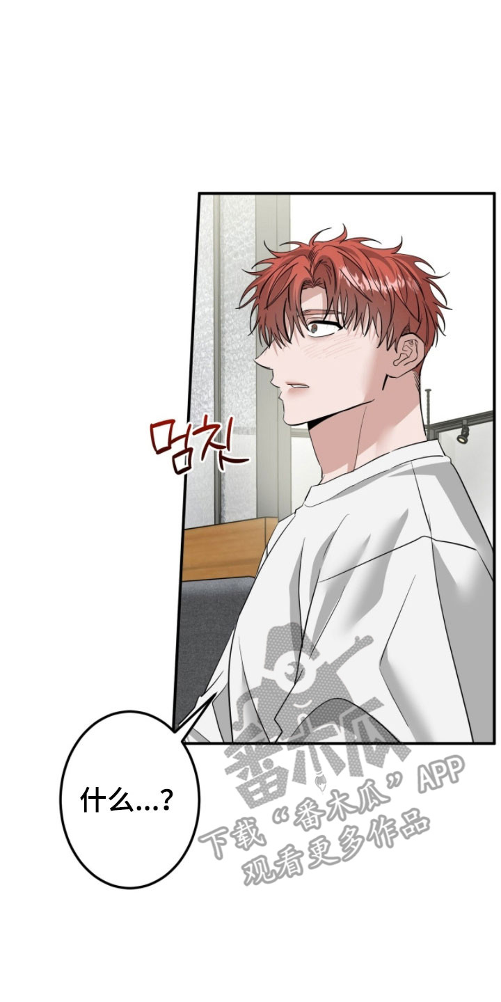 摘下星星送给你漫画,第76章：认真的事3图