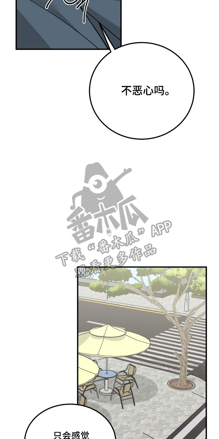 摘下星星送给你漫画,第80章：收到回复1图