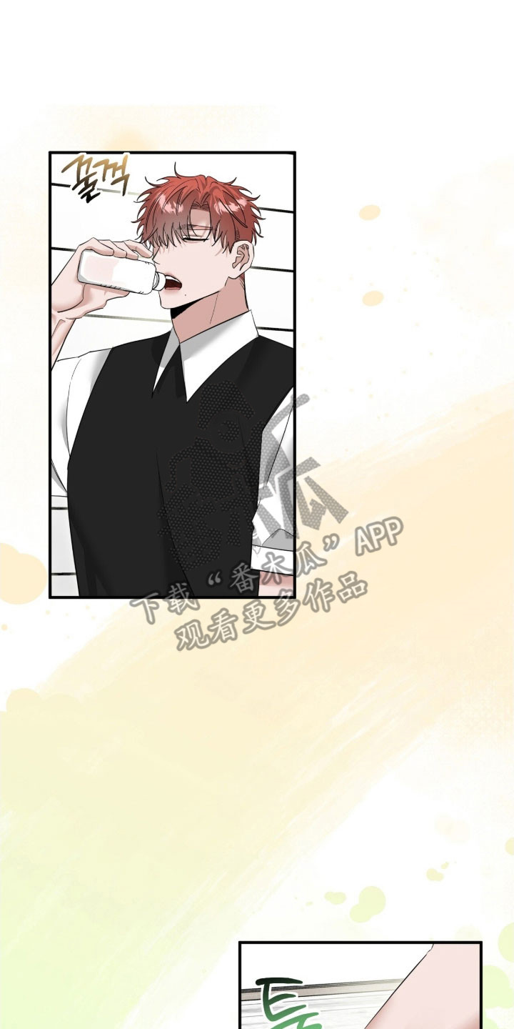 摘下星星送给你漫画,第87章：我的粉丝3图