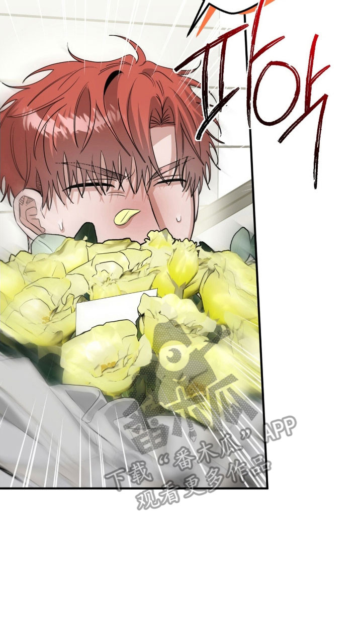 摘下星星送给你漫画,第83章：演出礼花5图