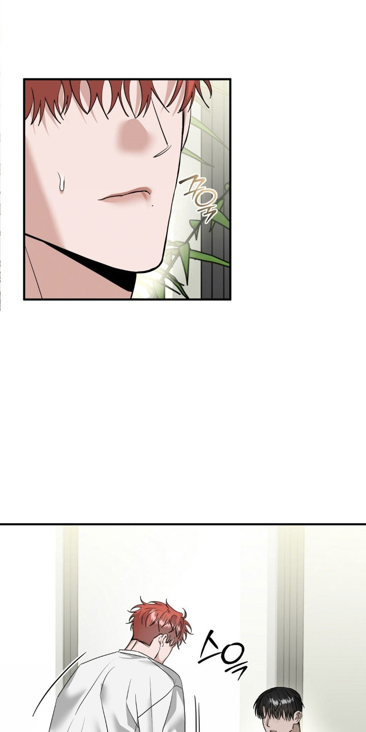 摘下星星送给你漫画,第78章：只是怜悯4图