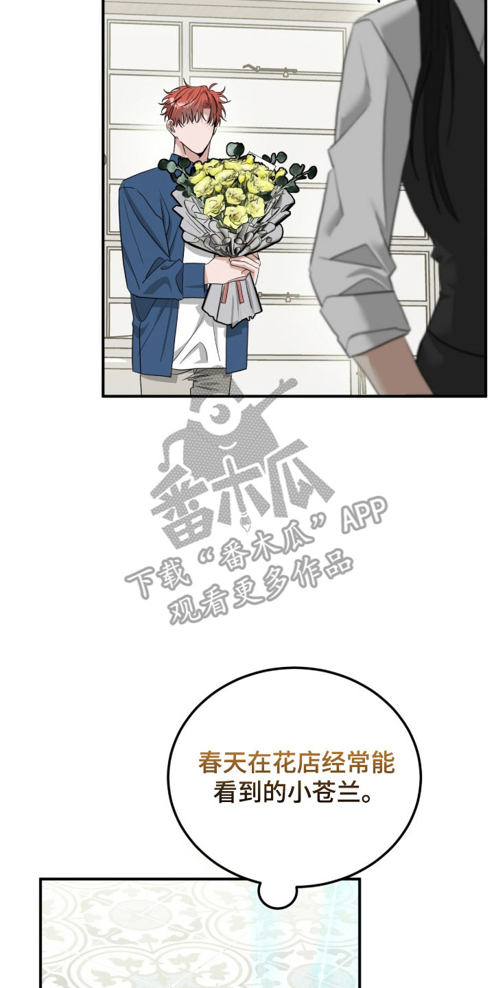 摘下星星送给你漫画,第83章：演出礼花3图