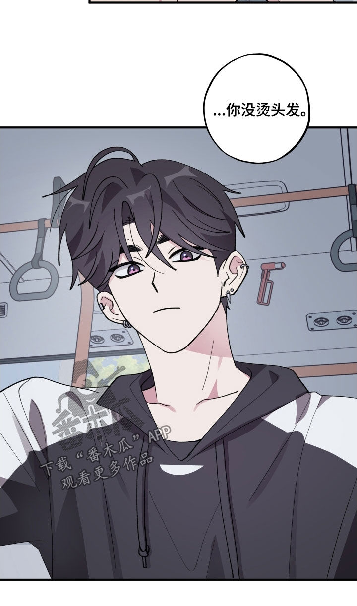 同类相吸异类相斥漫画,第67章：【第二季】公交车1图